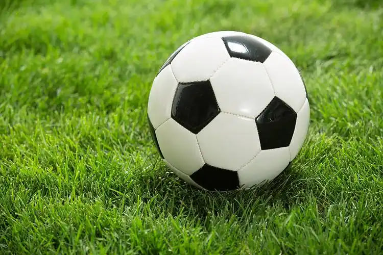 实时比分更新功能